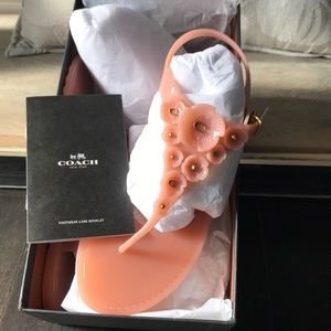 coach tea rose jelly sandals